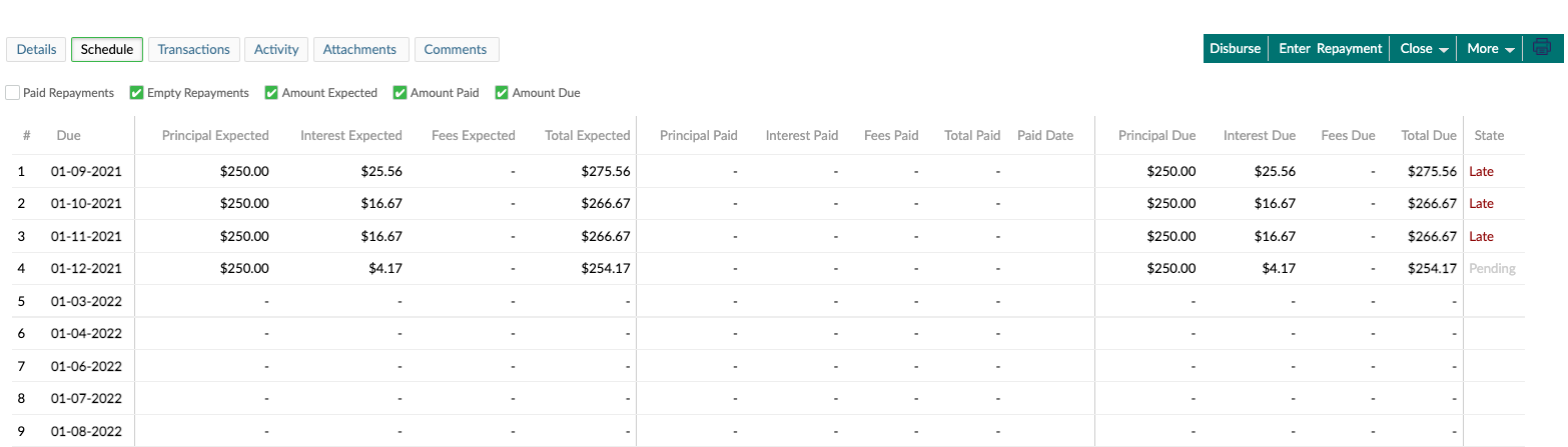 The schedule of a Revolving loan showing the empty repayments